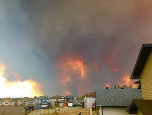 13140584_10205932327058919_1444804089_n