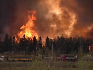 13153431_10205932326338901_850101682_n