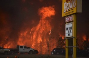 13153520_10205932326578907_142890398_n