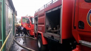 13161038_10207570541719337_872156116_o