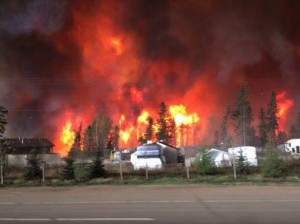 13162122_10205932325818888_336147112_n