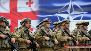 13174083_1201615853204488_3366198454004041912_n