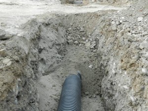 13177679_1551005411869092_5911127608936245298_n