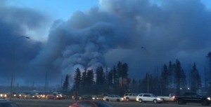 13183048_10205932327298925_142647020_n