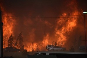 13187863_10205932326418903_789700457_n