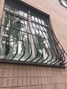 13219984_10205988706828378_39495906_n