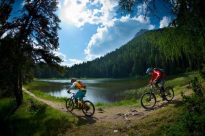 13233273_1297552326940039_1621638739_n