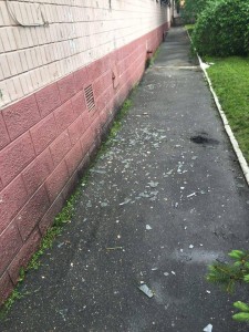 13246008_10205988706988382_1542527908_n