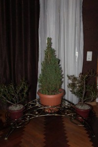 13330288_1314625291899409_759150210_n