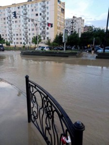 13342230_1012988545416812_962155763_n