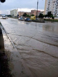 13342450_1012988532083480_295759914_n (1)