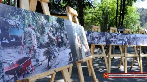 13428029_1229427010423372_6316155588744766320_n