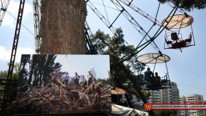 13428651_1229426353756771_6922497230991642410_n