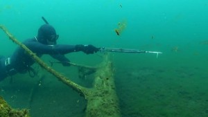 13435748_1320469877981617_686382795_n