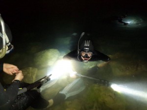 13436068_1320469887981616_200021210_n