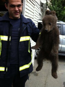 13444319_1322673717761233_1096886904_n