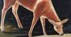 13474069_1324251954270076_1486080971_n