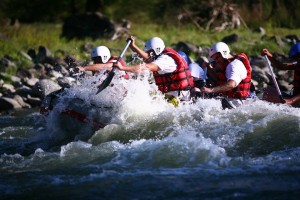 13480505_1325742104121061_1410742346_n