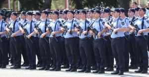 13522012_290426021302429_8589234233595049879_n