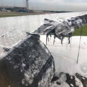 13530365_10206258746579203_163832969_n