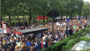 13565551_10206290370769788_182648075_n