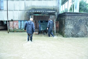 13603543_642773042556335_6601916732559544339_o