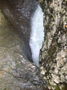 13606623_10206974087887505_1705198043920878391_n