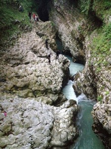 13615354_10206974082647374_9036739796576896071_n