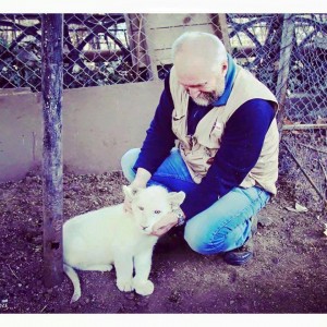 13618158_1355065367855401_1433312638_n