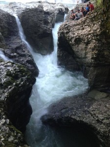 13619979_10206974082167362_1346252821836751084_n