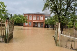 13640715_642773159222990_991679058349033506_o