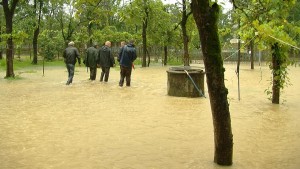 13641088_642773679222938_8574796287629572473_o