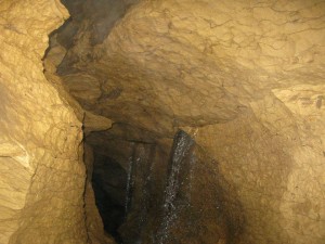 13649595_1117307508313127_1432081274_n