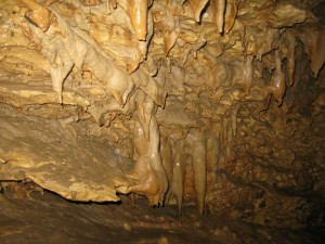 13649649_1117307501646461_26347608_n