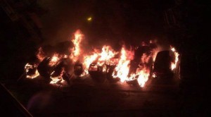 13694991_10206365666692139_1350161109_n