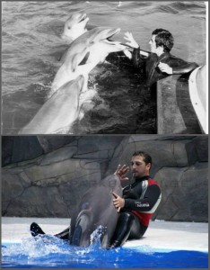 13705231_1346056942089577_622945445_n