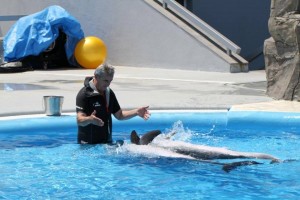 13706154_1346056938756244_1722128386_n