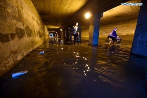 13820861_10206431887947629_175692011_n