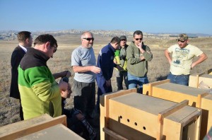 13823223_1355065337855404_196272379_n