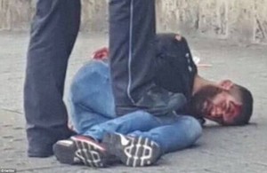 13840558_10206445240281429_978276042_o