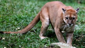 13872441_10206464617525848_335112539_n