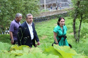 13872994_309382686073429_7660000047664489399_n