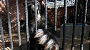 13883669_10206464617485847_47925124_n