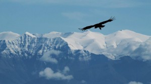 13883875_1358110410884230_24576117_n