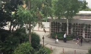 3682940300000578-3703705-People_continuing_to_flee_the_shopping_centre_in_Munich_after_th-a-160_1469218069680