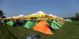 13882328_312817295729968_86811445865476534_n