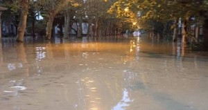 13883935_10206510682877453_1213110917_n