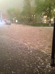 13900731_1194056997283458_986430426_n