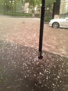 13936882_1194057097283448_1917416965_n