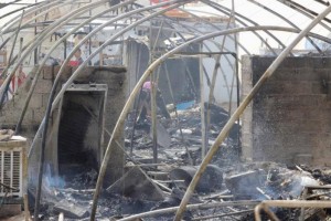 14194333_10206687758464232_2029060908_n